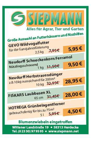 Artikel 